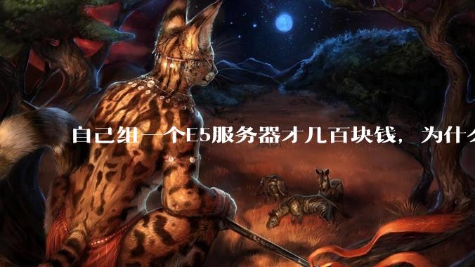 自己组一个E5服务器才几百块钱，为什么去阿里云租这么贵?